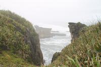 Westküste - Pfannkuchenfelsen