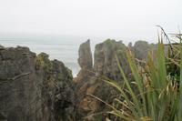 Westküste - Pfannkuchenfelsen