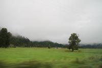 Fahrt nach Hokitika