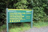 Franz Josef Gletscher 