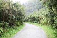 Franz Josef Gletscher 