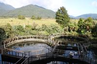 Besuch einer Lachsfarm