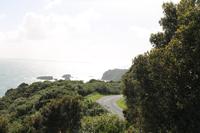 Entlang der Westküste