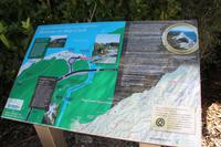 Entlang der Westküste