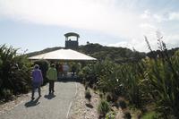 Entlang der Westküste