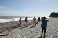 Strand an der Westküste