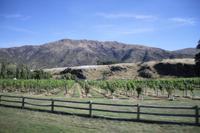 Fahrt in Richtung Queenstown