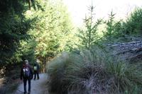 Spaziergang am Bob's Peak von Queenstown