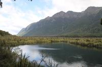 Fahrt nach Milford Sound