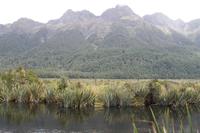 Fahrt nach Milford Sound