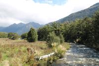 Fahrt nach Milford Sound