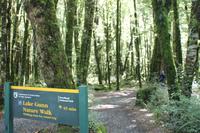 Fahrt nach Milford Sound