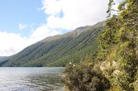 Fahrt nach Milford Sound