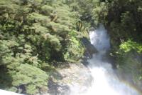 Fahrt nach Milford Sound