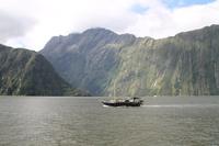  Milford Sound - an Bord der 