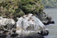  Milford Sound - an Bord der 