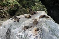  Milford Sound - an Bord der 