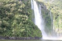  Milford Sound - an Bord der 