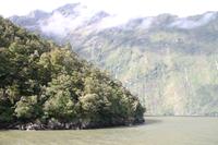  Milford Sound - an Bord der 