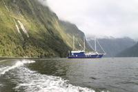  Milford Sound - Bootsfahrt