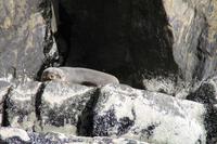  Milford Sound - Bootsfahrt