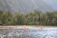  Milford Sound - an Bord der 