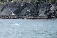  Milford Sound - an Bord der 