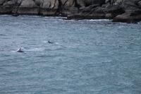  Milford Sound - an Bord der 