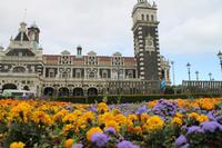 Stadtrundfahrt in Dunedin