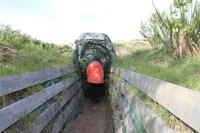 Otago Halbinsel - Pinguin Reservat