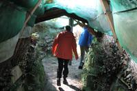 Otago Halbinsel - Pinguin Reservat