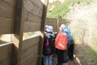 Otago Halbinsel - Pinguin Reservat