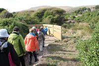 Otago Halbinsel - Pinguin Reservat