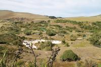 Otago Halbinsel - Pinguin Reservat