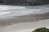 Otago Halbinsel - Pinguin Reservat