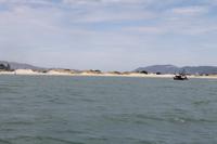 Otago Halbinsel - Kuterfahrt - Albatros & Delphinewatching