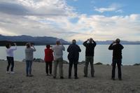McKenzie Hochebene - Lake Tekapo