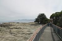 Kaikoura - Spaziergang entlang der Steilküste