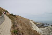 Kaikoura - Spaziergang entlang der Steilküste
