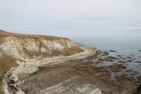Kaikoura - Spaziergang entlang der Steilküste