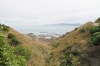 Kaikoura - Spaziergang entlang der Steilküste