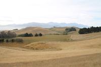 Kaikoura - Spaziergang entlang der Steilküste