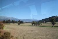 Kaikoura nach Picton mit dem TransCoastel Zug