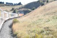 Kaikoura nach Picton mit dem TransCoastel Zug