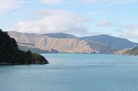 Fährfahrt von Picton nach Wellington