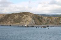 Fährfahrt von Picton nach Wellington