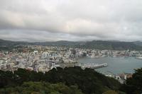 Stadtrundfahrt in Wellington