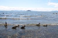 Fotostopp am Tauposee 