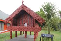 Besichtigung der Geysire von Rotorua