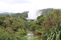 Besichtigung der Geysire von Rotorua